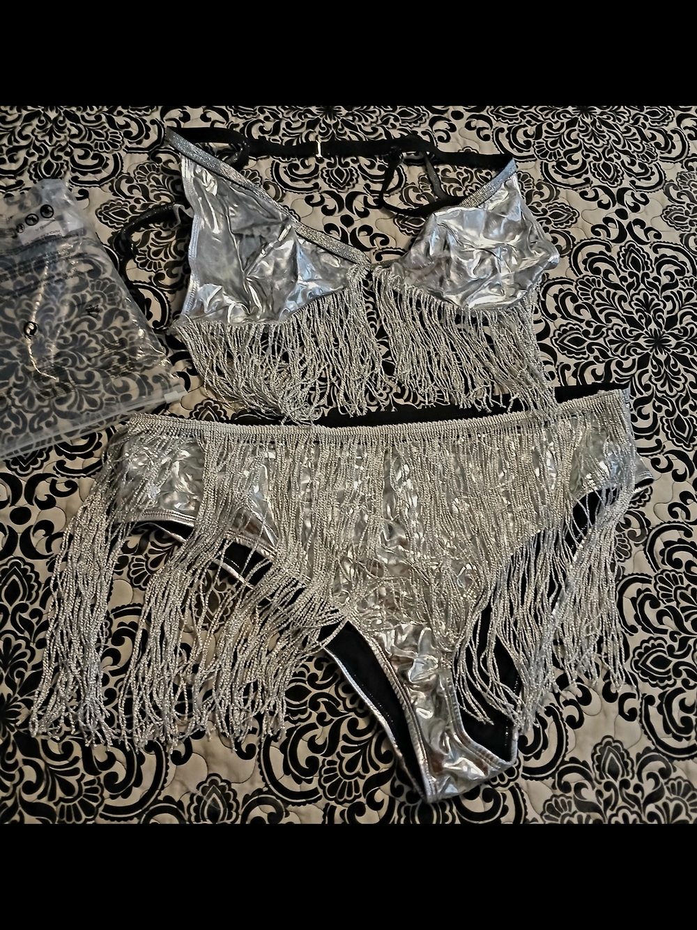 Source Unknown Metallic Silver Fringe Bikini Panties Set